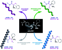 Graphical abstract: Controlled modulation of the helical sense and the elongation of poly(phenylacetylene)s by polar and donor effects