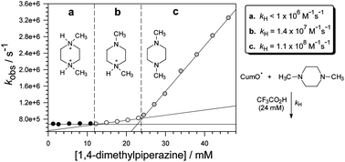 Graphical abstract: Tuning hydrogen atom abstraction from the aliphatic C–H bonds of basic substrates by protonation. Control over selectivity by C–H deactivation