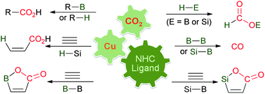 Graphical abstract: N-Heterocyclic carbene (NHC)–copper-catalysed transformations of carbon dioxide