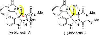 Graphical abstract: Concise total synthesis of (+)-bionectins A and C