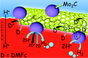 Graphical abstract: Floating conductive catalytic nano-rafts at soft interfaces for hydrogen evolution