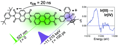 Graphical abstract: Interrogating the photogenerated Ir(iv) state of a water oxidation catalyst using ultrafast optical and X-ray absorption spectroscopy