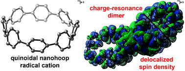 Graphical abstract: Photophysical and theoretical investigations of the [8]cycloparaphenylene radical cation and its charge-resonance dimer