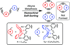 Graphical abstract: Homochiral Self-Sorting of BINOL Macrocycles