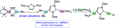 Graphical abstract: Alkali-metal-mediated zincation (AMMZn) meets N-heterocyclic carbene (NHC) chemistry: Zn–H exchange reactions and structural authentication of a dinuclear Au(i) complex with a NHC anion