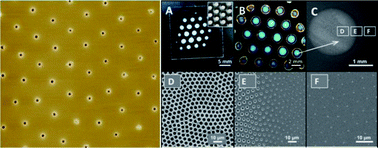 Graphical abstract: Non-close-packed pore arrays through one-step breath figure self-assembly and reversal