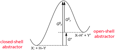 Graphical abstract: Do spin state and spin density affect hydrogen atom transfer reactivity?