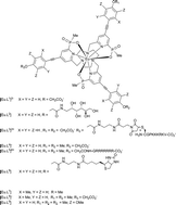 Graphical abstract: EuroTracker dyes: highly emissive europium complexes as alternative organelle stains for live cell imaging