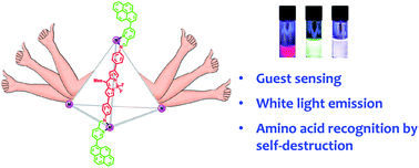 Graphical abstract: Fluorophore incorporation allows nanomolar guest sensing and white-light emission in M4L6 cage complexes