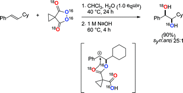 Graphical abstract: Mechanistic insights into the malonoyl peroxide syn-dihydroxylation of alkenes