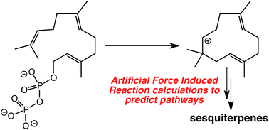 Graphical abstract: Predicting pathways for terpene formation from first principles – routes to known and new sesquiterpenes