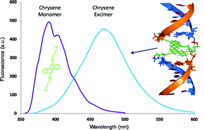 Graphical abstract: Observation of the rare chrysene excimer