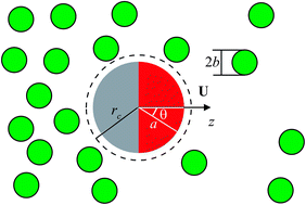 Graphical abstract: Osmotic propulsion of colloidal particles via constant surface flux