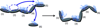 Graphical abstract: Oriented aggregation of calcium silicate hydrate platelets by the use of comb-like copolymers