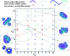 Graphical abstract: Janus-like spheres, disks, rings, cylinders, and vesicles from the self-assembly of mixture of AB and BC diblock copolymers in A- and C-selective solvents