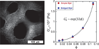 Graphical abstract: Bijel reinforcement by droplet bridging: a route to bicontinuous materials with large domains