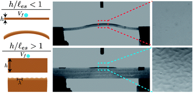 Graphical abstract: Swelling-induced deformations: a materials-defined transition from macroscale to microscale deformations