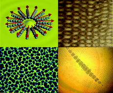 Graphical abstract: Emergent colloidal dynamics in electromagnetic fields