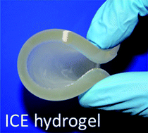 Graphical abstract: Ionic-covalent entanglement hydrogels from gellan gum, carrageenan and an epoxy-amine