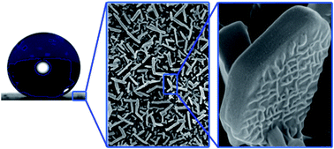 Graphical abstract: Bioinspired hierarchical superhydrophobic structures formed by n-paraffin waxes of varying chain lengths