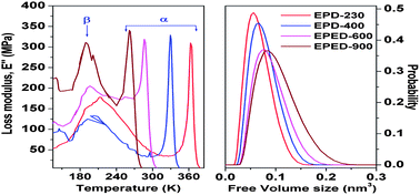 Graphical abstract: Free volumes and structural relaxations in diglycidyl ether of bisphenol-A based epoxy–polyether amine networks