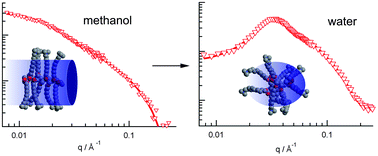 Graphical abstract: The effect of degree of polymerization on intra- and interchain micellization of a tail-type cationic polysoap