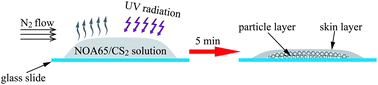 Graphical abstract: Photocrosslinking-induced phase separation in evaporative solvents: formation of skin layers and microspheres