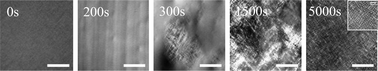 Graphical abstract: Shear quench-induced disintegration of a nonionic surfactant C10E3 onion phase