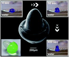 Graphical abstract: Complex architectures formed by alginate drops floating on liquid surfaces