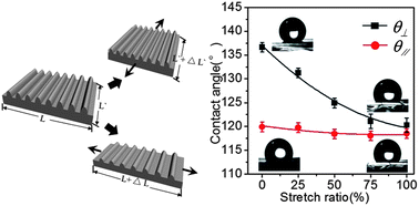 Graphical abstract: Mechanical stretch for tunable wetting from topological PDMS film