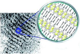 Graphical abstract: Gold nanoparticles with flexible mesogenic grafting layers