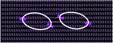 Graphical abstract: Deformable vesicles interacting in a nematic liquid crystal