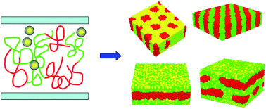 Graphical abstract: Effect of selective nanoparticles on phase separation of copolymer–nanoparticle composites confined between two neutral surfaces