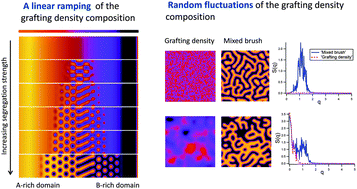 Graphical abstract: Self-assembly in a mixed polymer brush with inhomogeneous grafting density composition