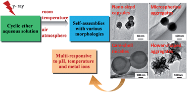 Graphical abstract: One-step radiation-induced construction of multi-responsive self-assemblies using simple cyclic ethers