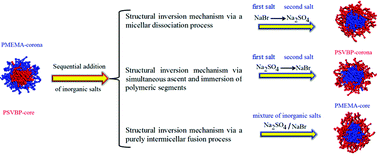Graphical abstract: Mesoscopic study of salt-responsive polymeric micelles: structural inversion mechanisms via sequential addition of inorganic salts