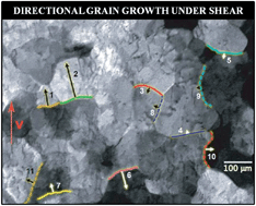 Graphical abstract: Grain growth and grain boundary dynamics in colloidal polycrystals