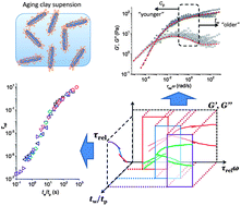 Graphical abstract: Scaling of the dynamic response of hectorite clay suspensions containing poly(ethylene glycol) along the universal route of aging