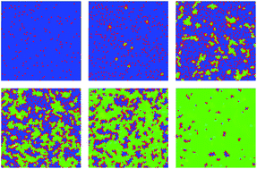 Graphical abstract: Simulation of edge facilitated adsorption and critical concentration induced rupture of vesicles at a surface