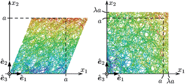 Graphical abstract: Finite-strain, finite-size mechanics of rigidly cross-linked biopolymer networks