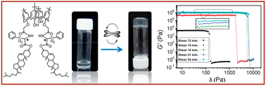 Graphical abstract: Mechano-responsive calix[4]arene-based molecular gels: agitation induced gelation and hardening