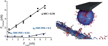 Graphical abstract: Non-ionic assembly of nanofibrillated cellulose and polyethylene glycol grafted carboxymethyl cellulose and the effect of aqueous lubrication in nanocomposite formation