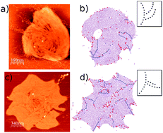 Graphical abstract: FtsZ protein on bilayer membranes: effects of specific lateral bonds