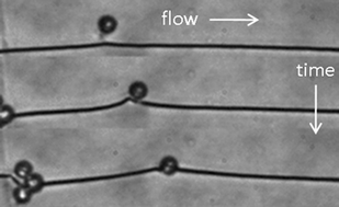 Graphical abstract: Topological microfluidics for flexible micro-cargo concepts