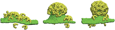 Graphical abstract: Structures and pathways for clathrin self-assembly in the bulk and on membranes