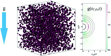 Graphical abstract: Sedimentation of non-Brownian spheres at high volume fractions