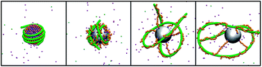 Graphical abstract: Polyelectrolyte adsorption on an oppositely charged spherical polyelectrolyte brush