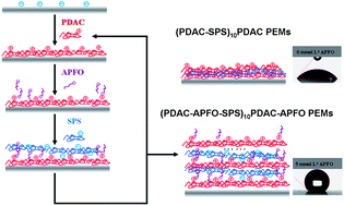 Graphical abstract: Surfactant co-assembly and ion exchange to modulate polyelectrolyte multilayer wettability