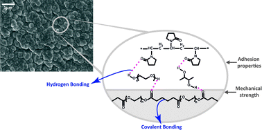 Graphical abstract: UV-curable pressure sensitive adhesive films: effects of biocompatible plasticizers on mechanical and adhesion properties