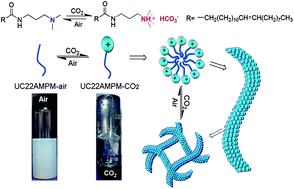 Graphical abstract: Smart wormlike micelles switched by CO2 and air